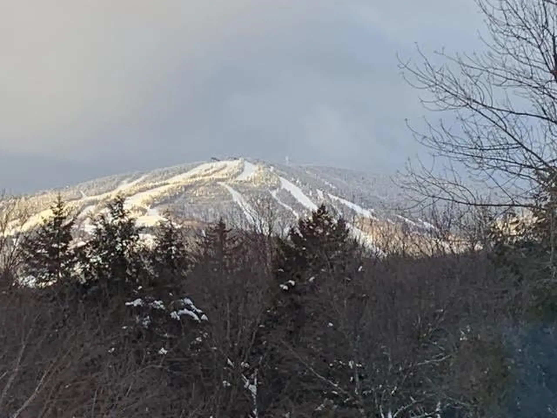 16 Nutmeg Lane Dover VT 05356