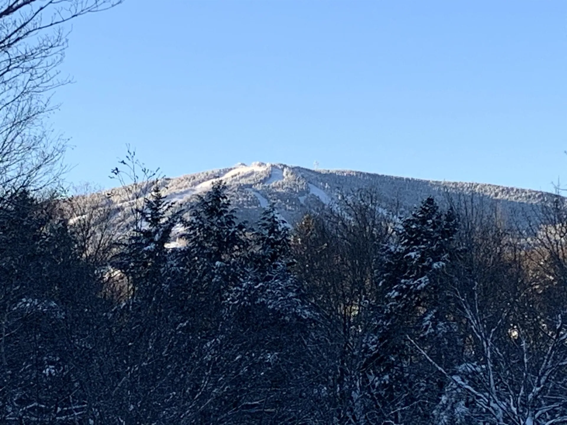 16 Nutmeg Lane Dover VT 05356