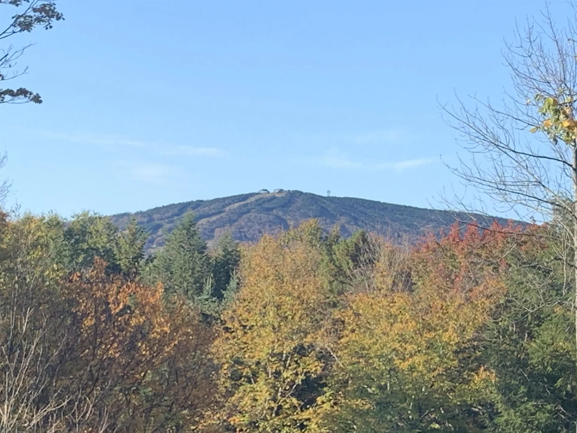 16 Nutmeg Lane Dover VT 05356