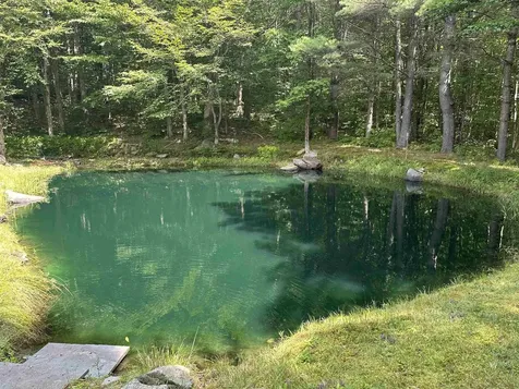 16 Nutmeg Lane Dover VT 05356