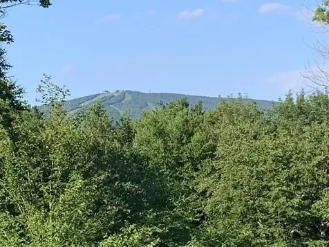 16 Nutmeg Lane Dover VT 05356