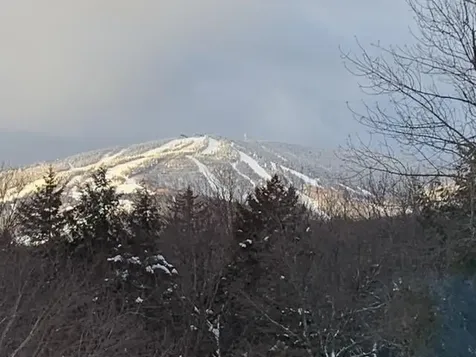 16 Nutmeg Lane Dover VT 05356