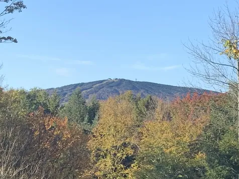 16 Nutmeg Lane Dover VT 05356