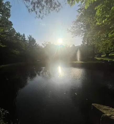 16 Nutmeg Lane Dover VT 05356