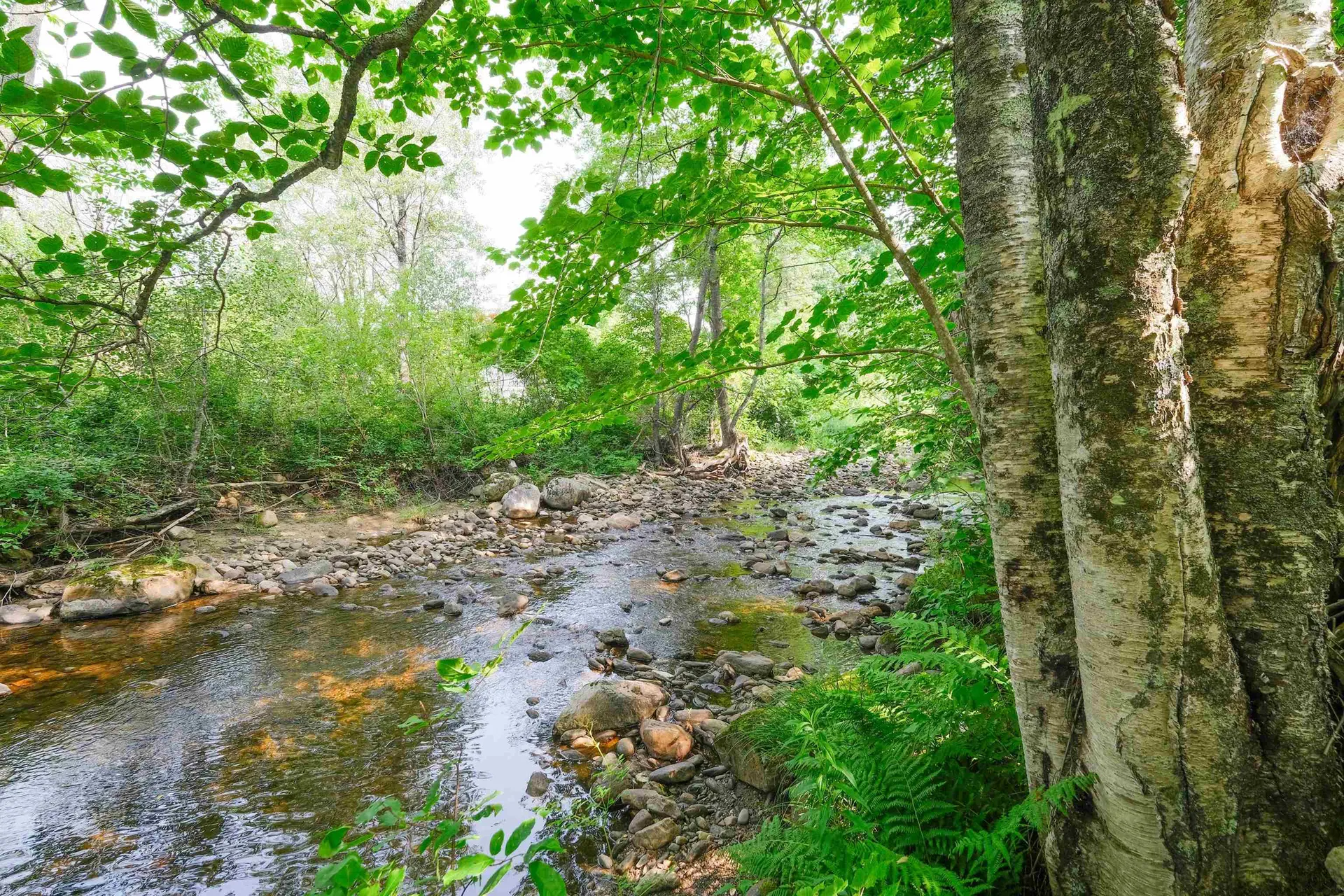 5666 Route 100n Plymouth VT 05056