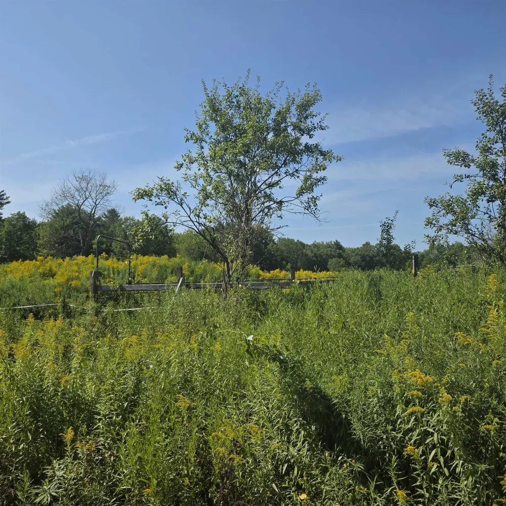 8 Skyline Road Unity NH 03773