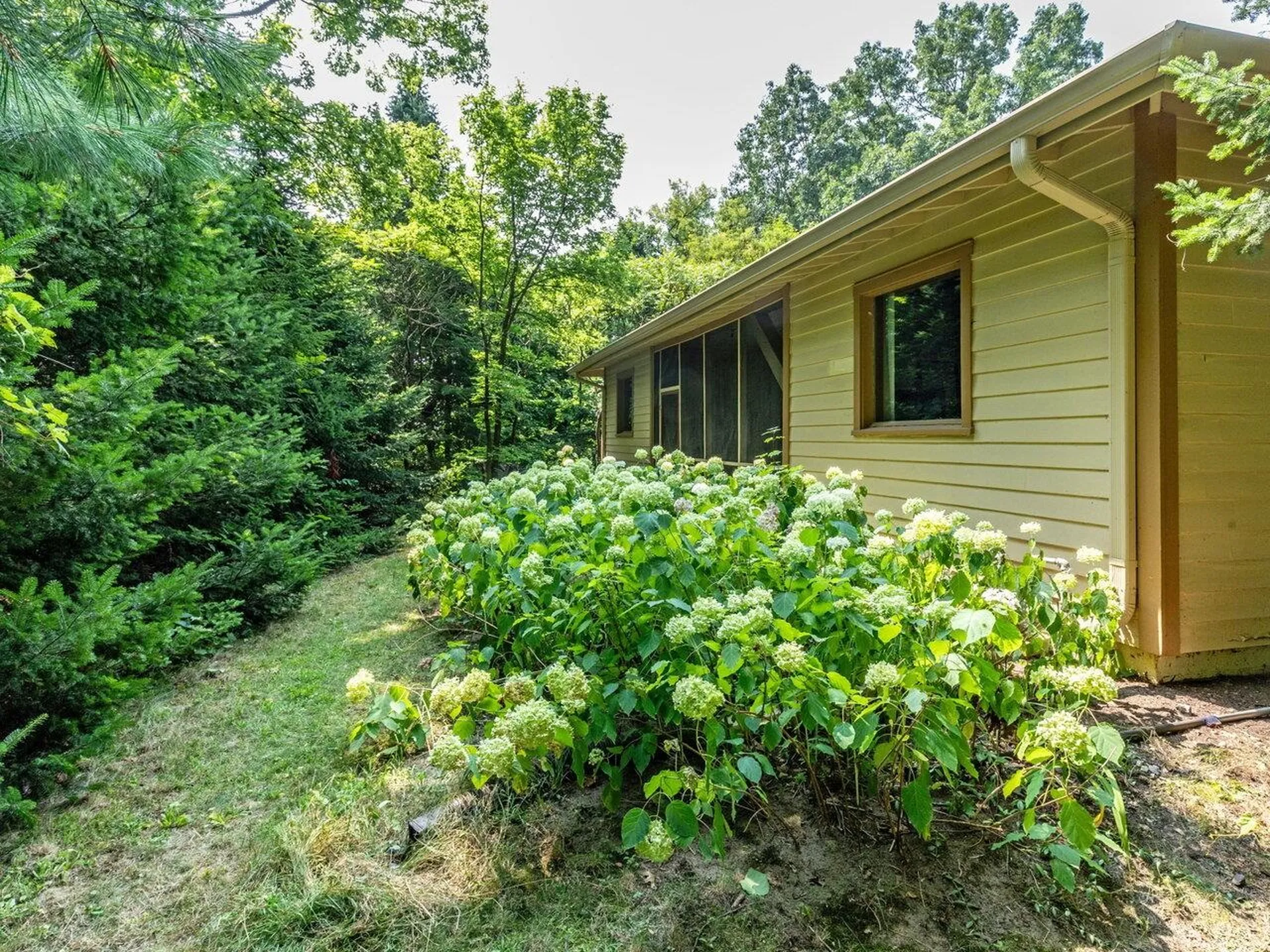 250 North Street Winooski VT 05404