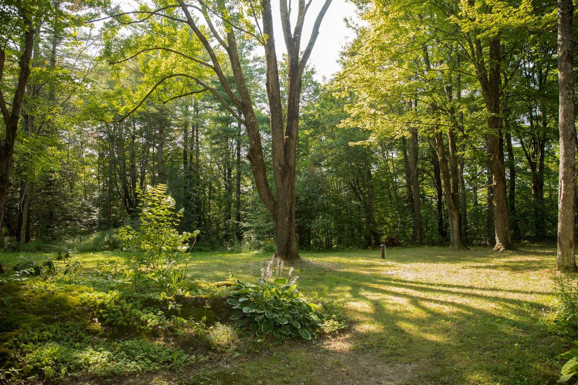 429 Twin Ridge Road Monkton VT 05443