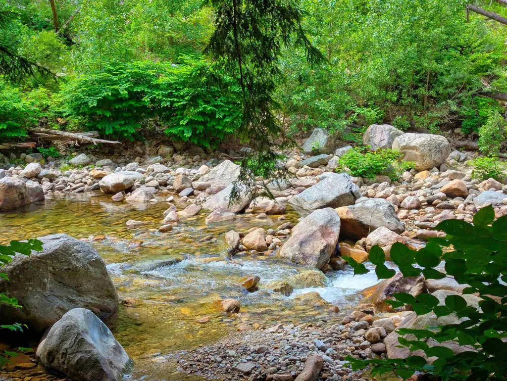 150 Upper Cold River Road Shrewsbury VT 05738