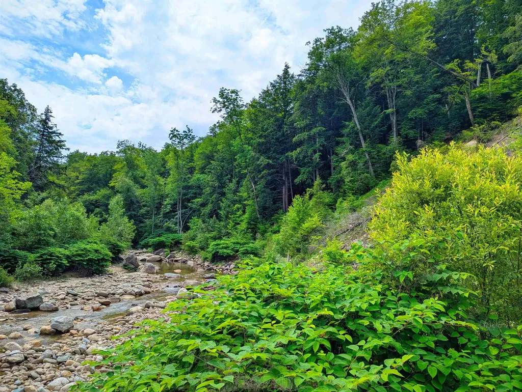 150 Upper Cold River Road Shrewsbury VT 05738