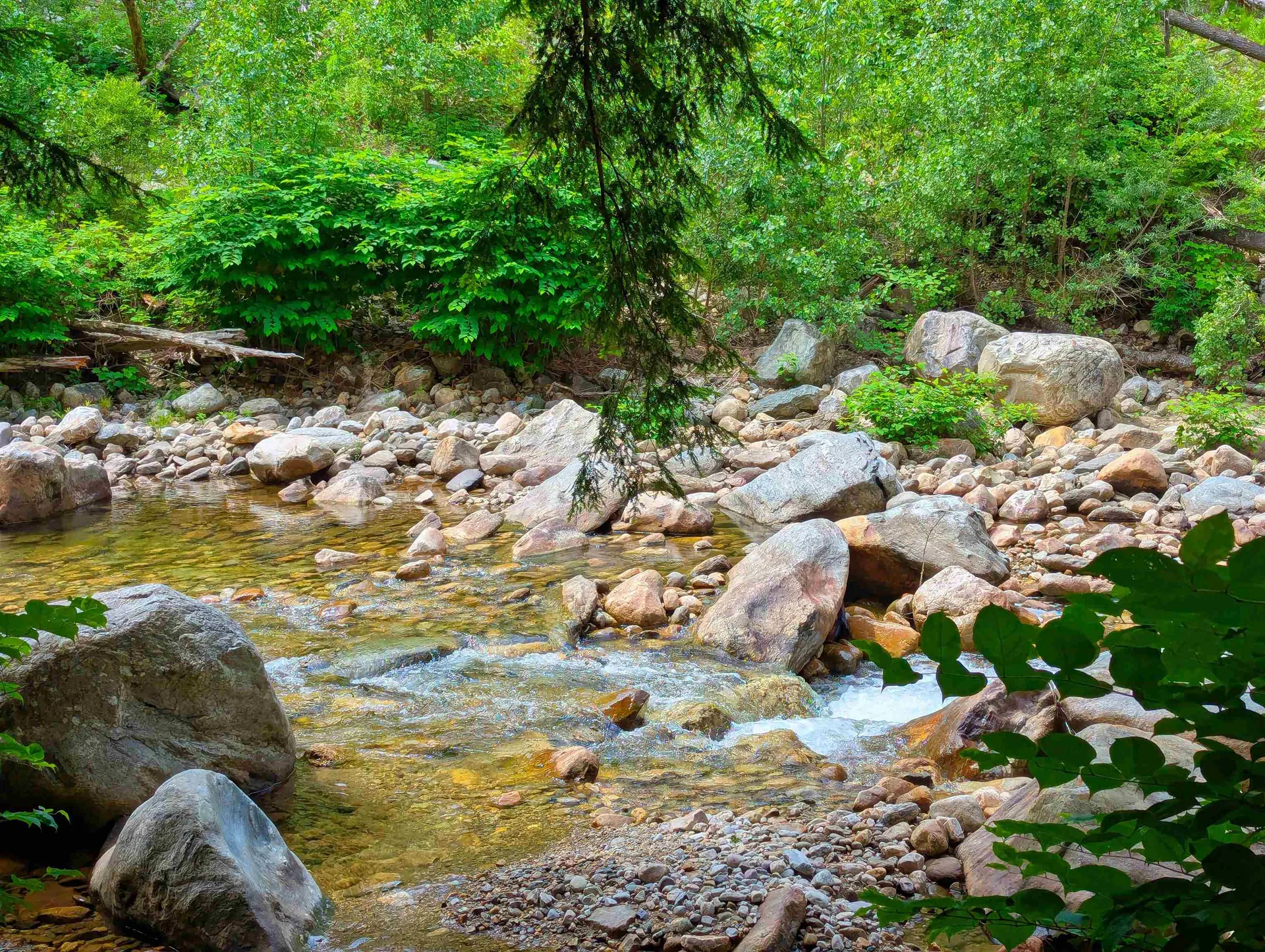 150 Upper Cold River Road Shrewsbury VT 05738