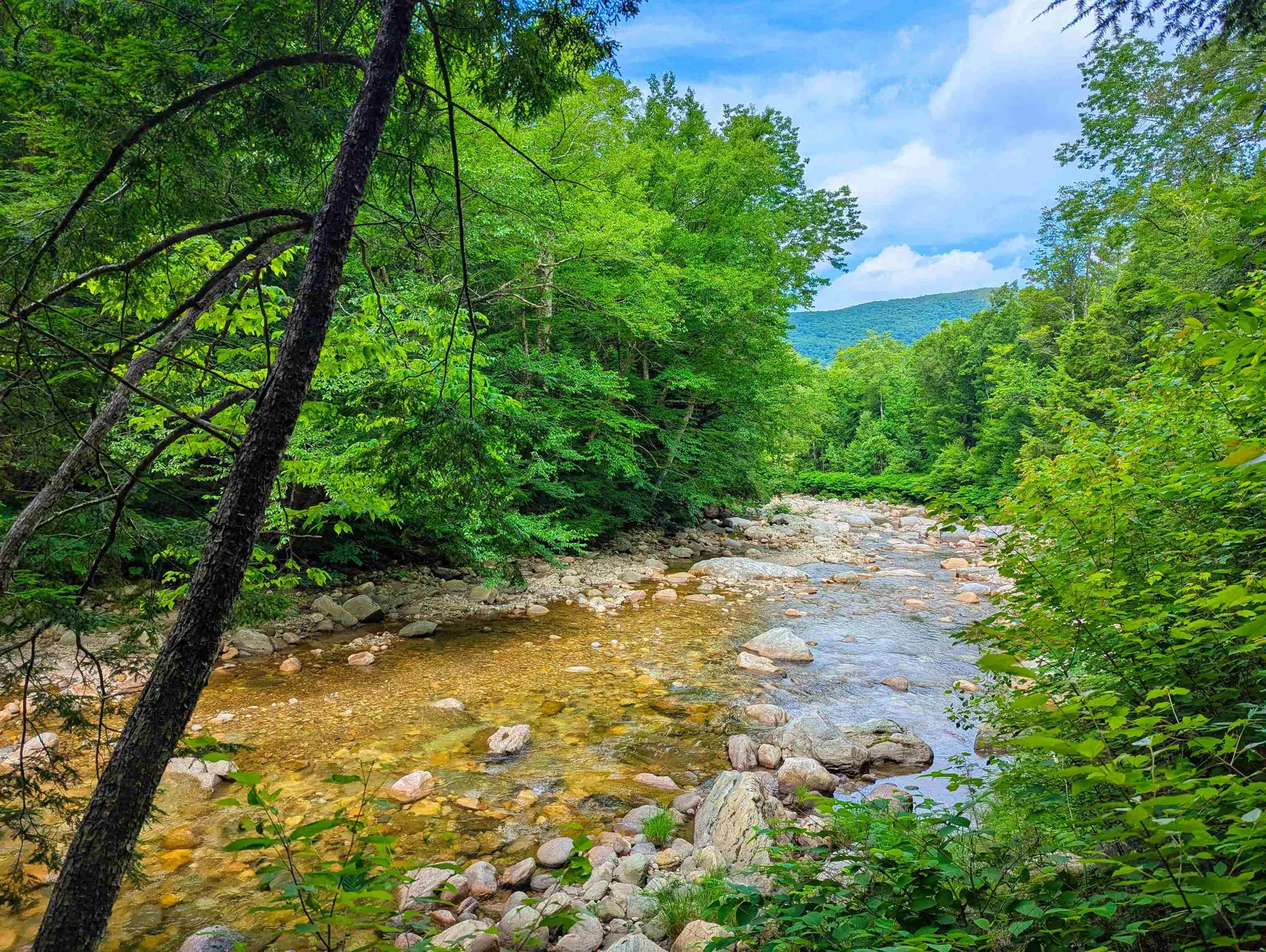 150 Upper Cold River Road Shrewsbury VT 05738