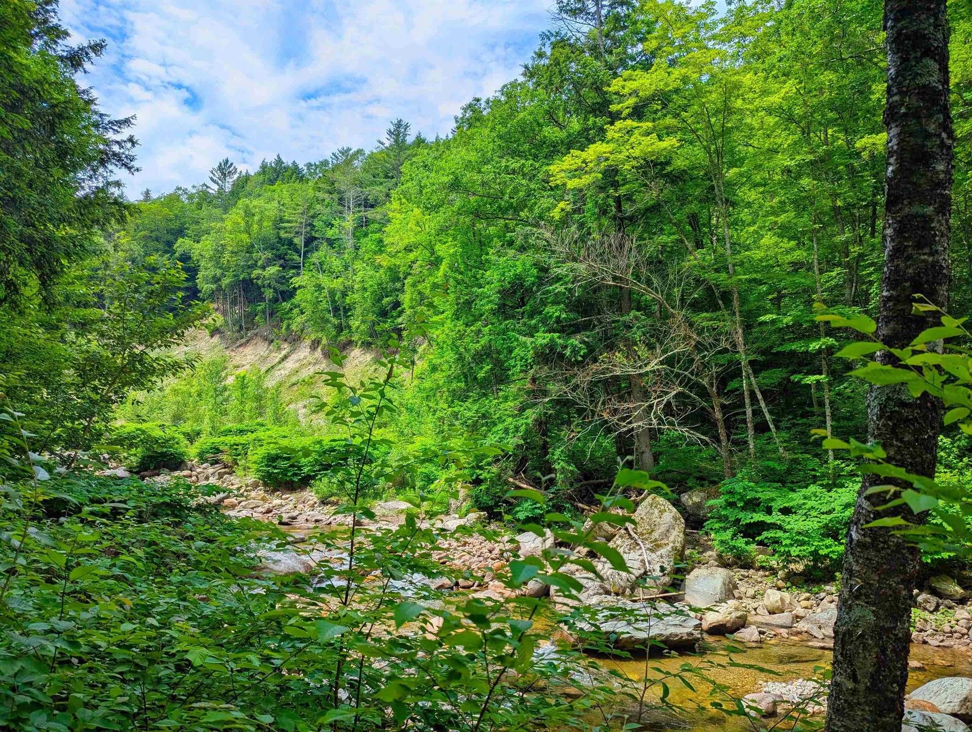 150 Upper Cold River Road Shrewsbury VT 05738