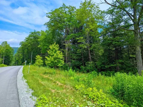 150 Upper Cold River Road Shrewsbury VT 05738