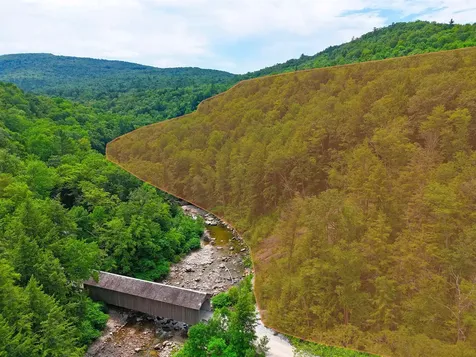 150 Upper Cold River Road Shrewsbury VT 05738