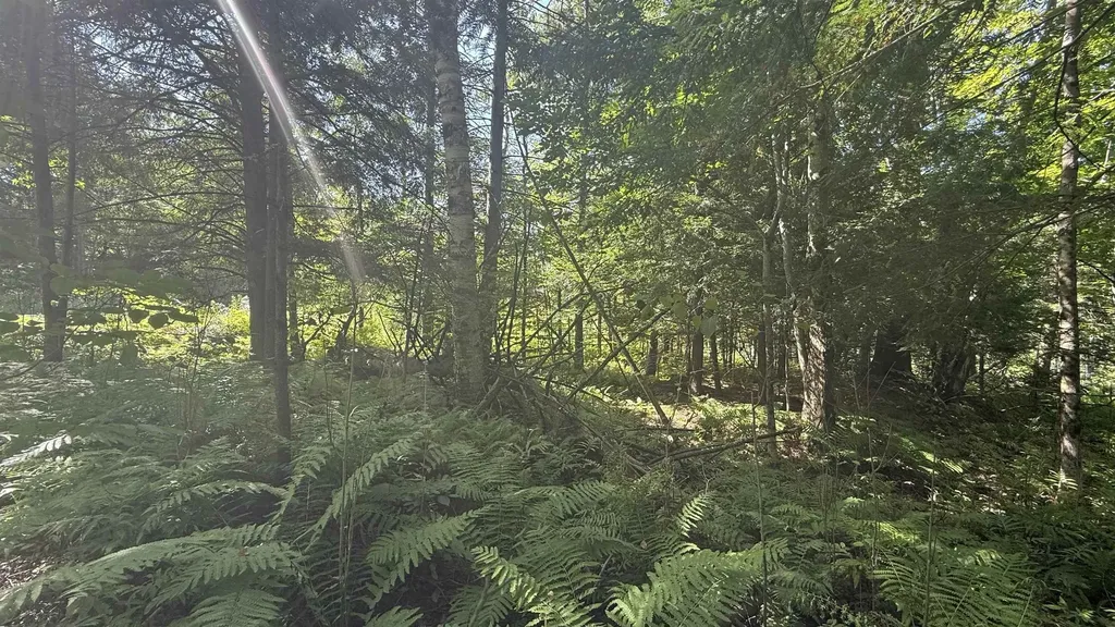 1416 Clif Reynolds Road Cambridge VT 05444