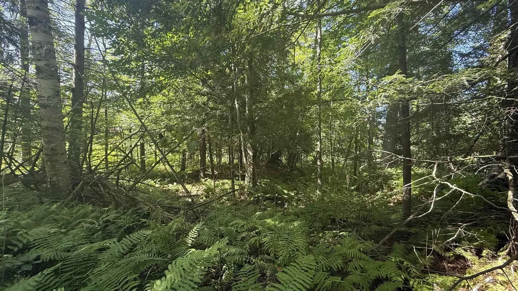 1416 Clif Reynolds Road Cambridge VT 05444