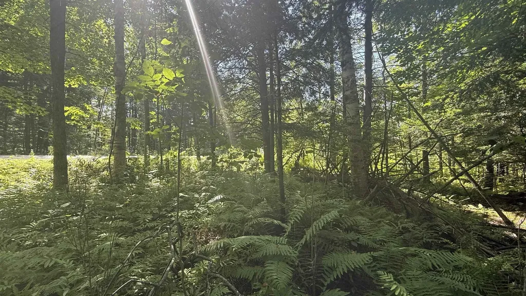 1416 Clif Reynolds Road Cambridge VT 05444