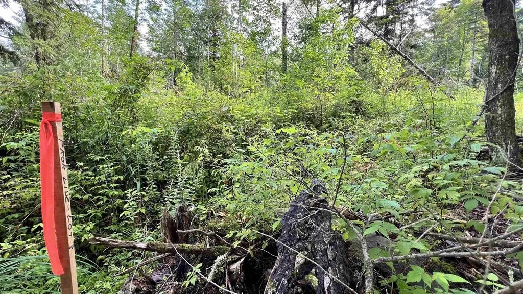 1416 Clif Reynolds Road Cambridge VT 05444