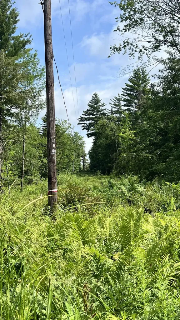 1416 Clif Reynolds Road Cambridge VT 05444