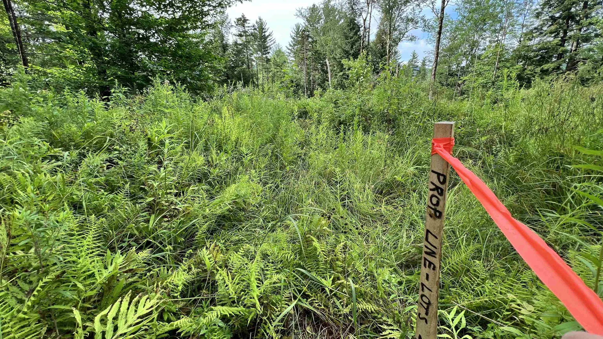 1416 Clif Reynolds Road Cambridge VT 05444