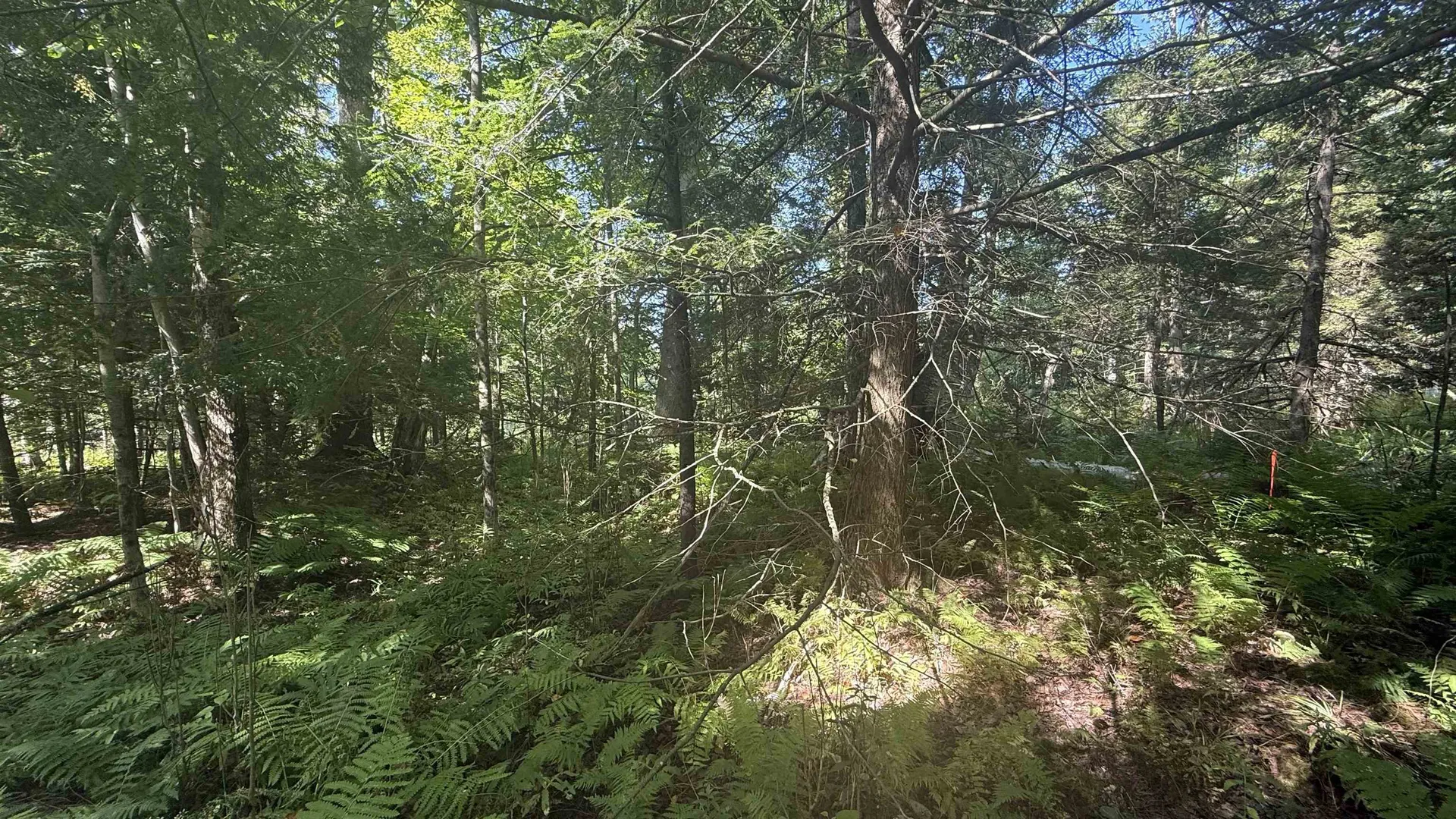 1416 Clif Reynolds Road Cambridge VT 05444