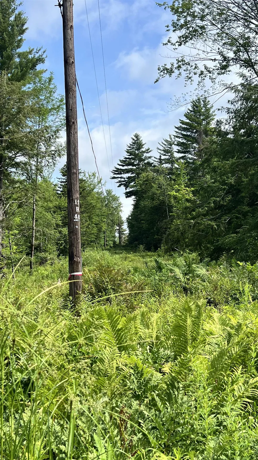 1416 Clif Reynolds Road Cambridge VT 05444