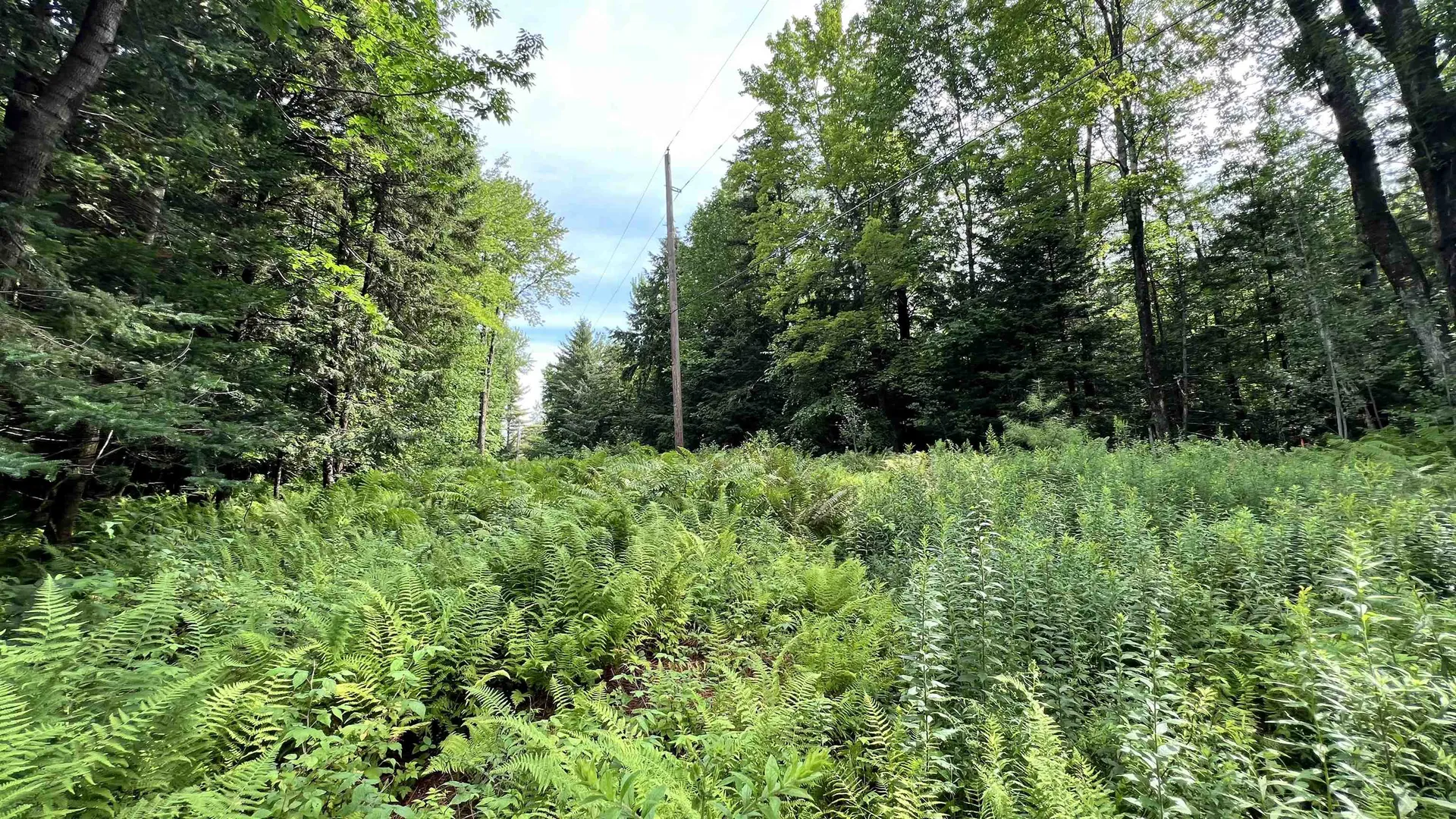 1416 Clif Reynolds Road Cambridge VT 05444