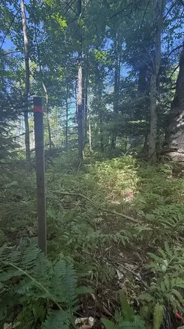 1416 Clif Reynolds Road Cambridge VT 05444