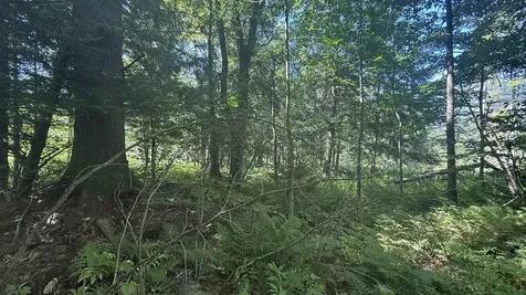 1416 Clif Reynolds Road Cambridge VT 05444