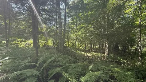 1416 Clif Reynolds Road Cambridge VT 05444