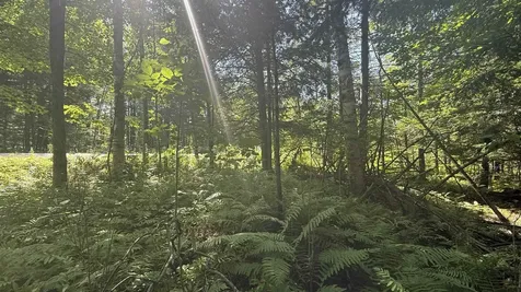 1416 Clif Reynolds Road Cambridge VT 05444