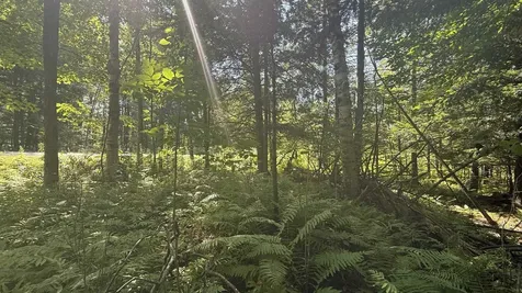 1416 Clif Reynolds Road Cambridge VT 05444