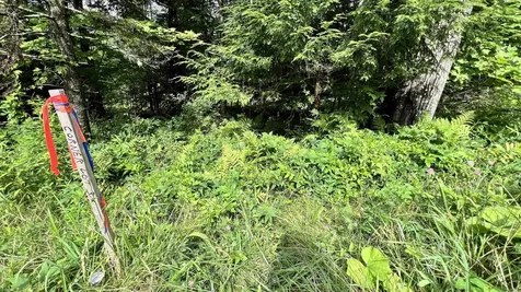 1416 Clif Reynolds Road Cambridge VT 05444