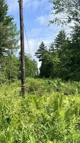 1416 Clif Reynolds Road Cambridge VT 05444