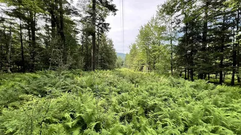 1416 Clif Reynolds Road Cambridge VT 05444