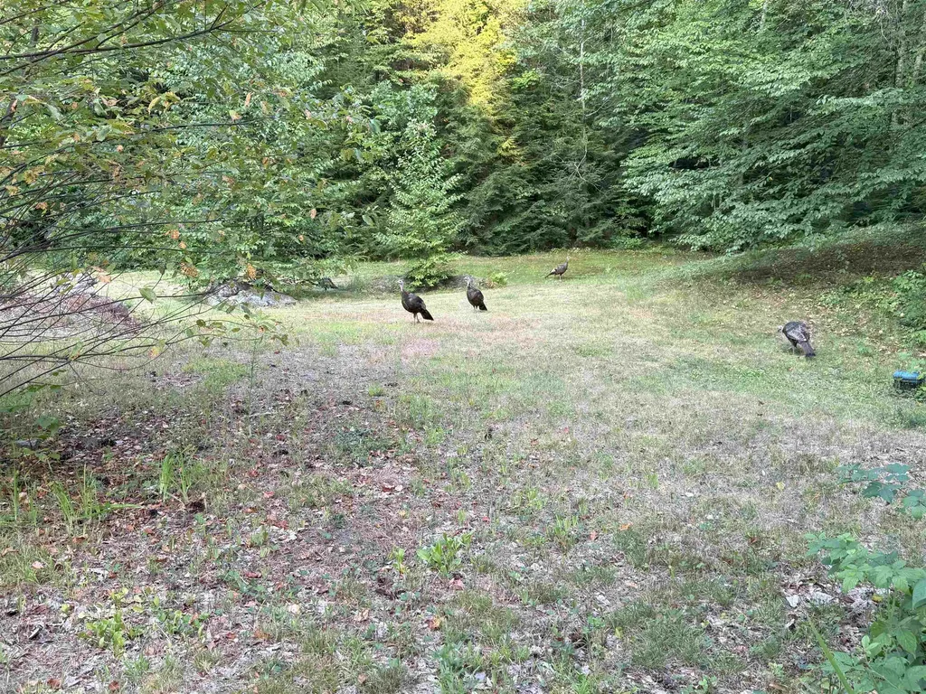 22 Greenwood Road Weare NH 03281