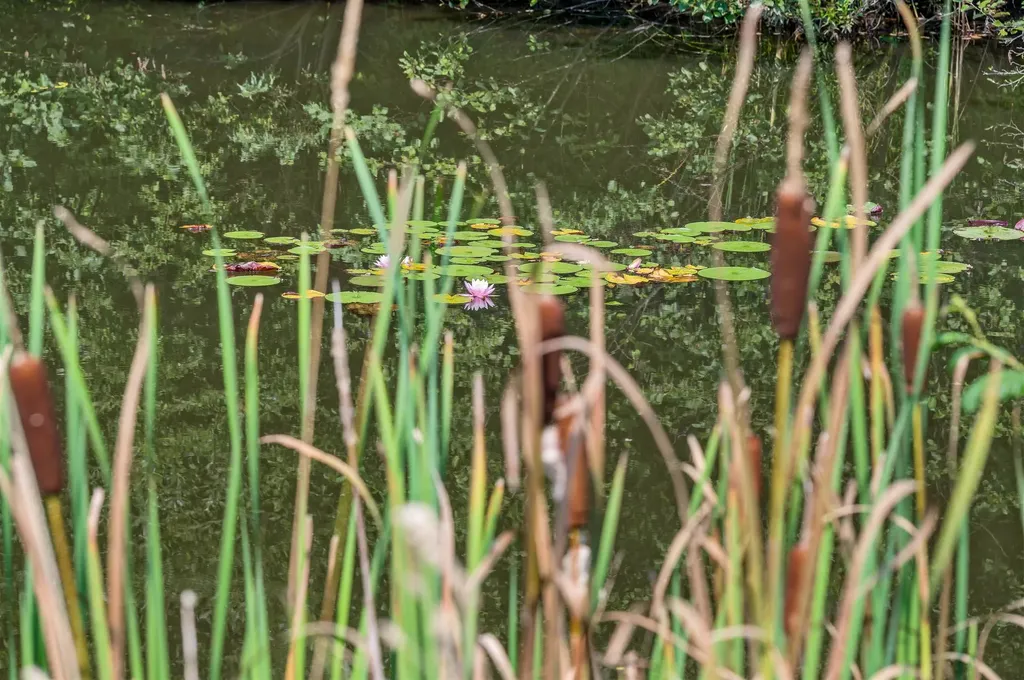 320 Sun Valley Road Morristown VT 05661