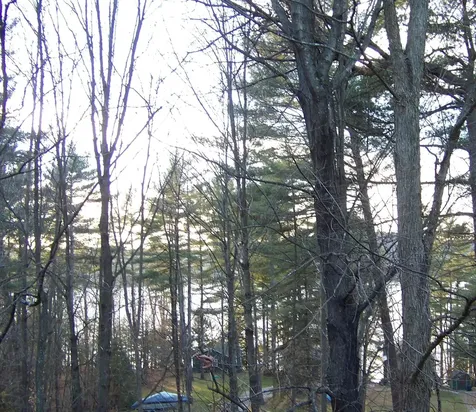 140 Vincent Egan Road Castleton VT 05732