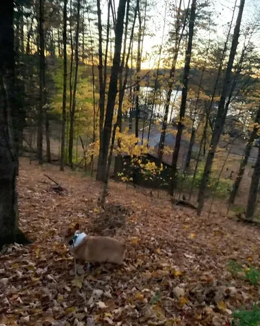 140 Vincent Egan Road Castleton VT 05732