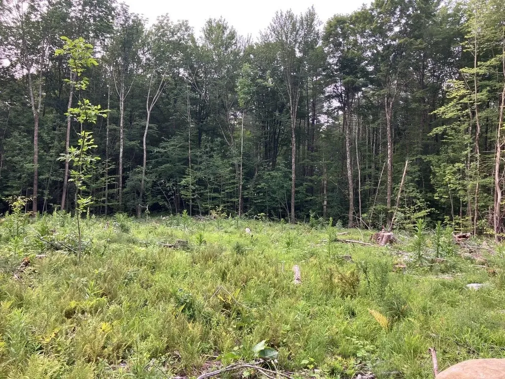 Lots 4-9 Fern Lake Road Leicester VT 05733