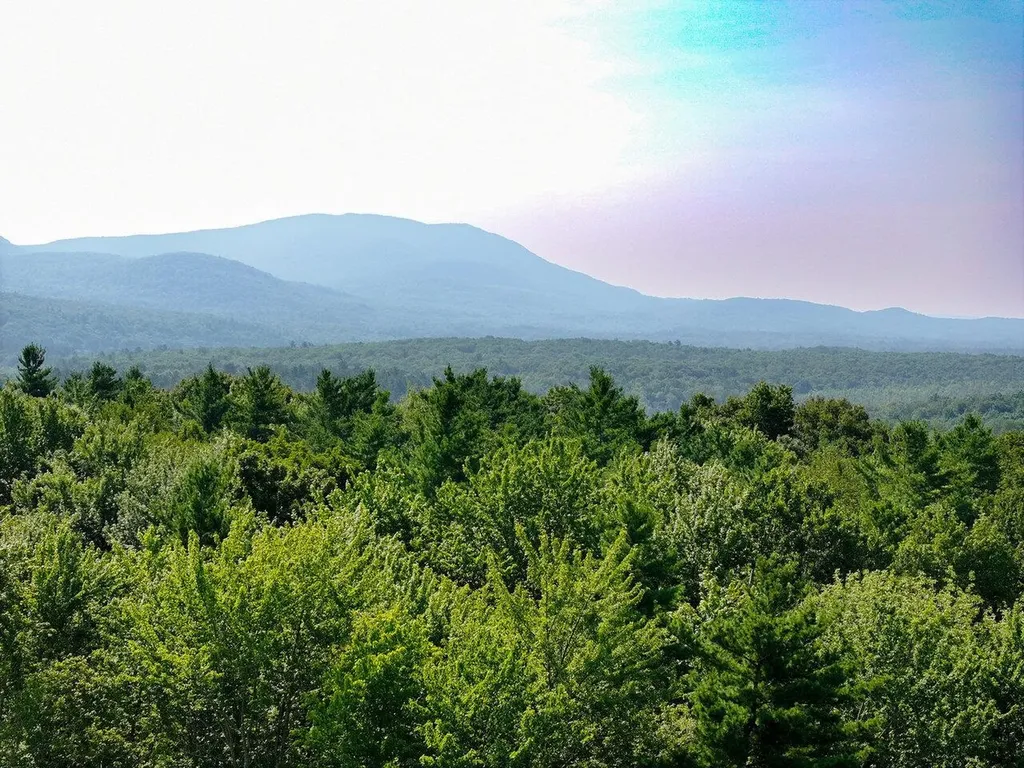 Lots 4-9 Fern Lake Road Leicester VT 05733