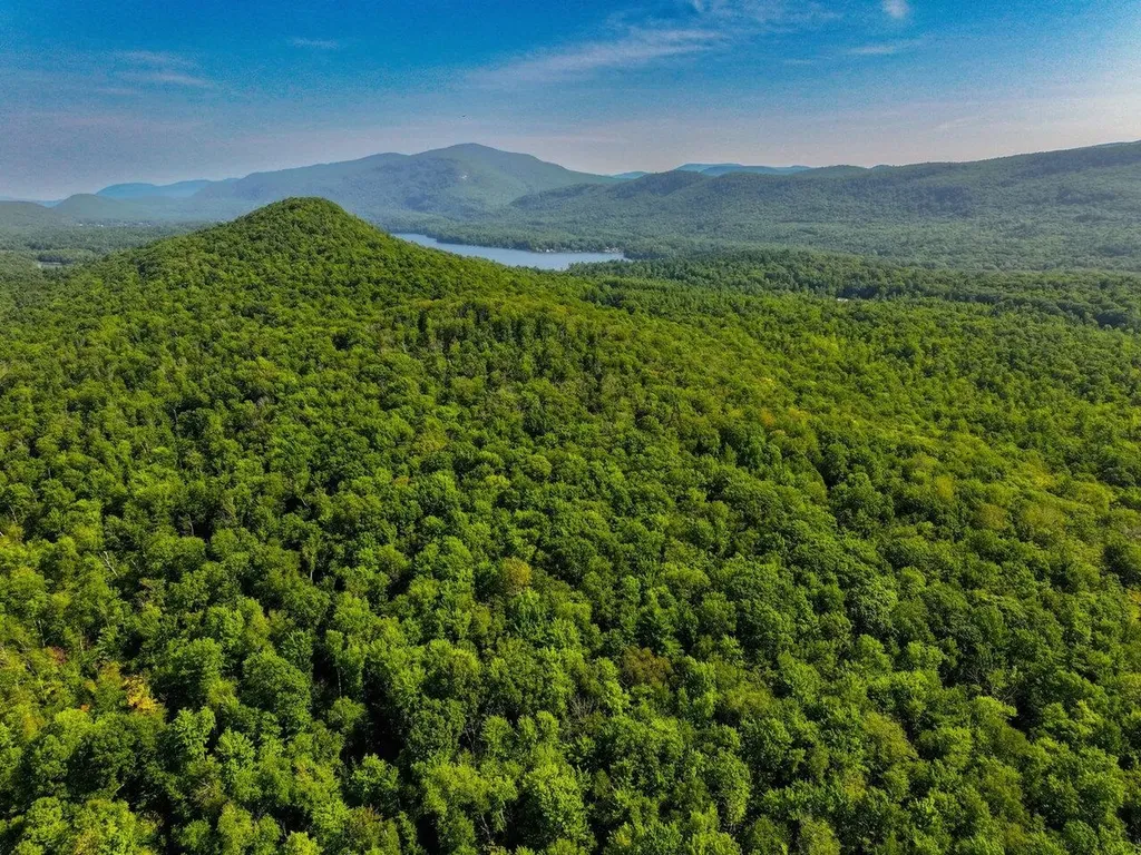 Lots 4-9 Fern Lake Road Leicester VT 05733