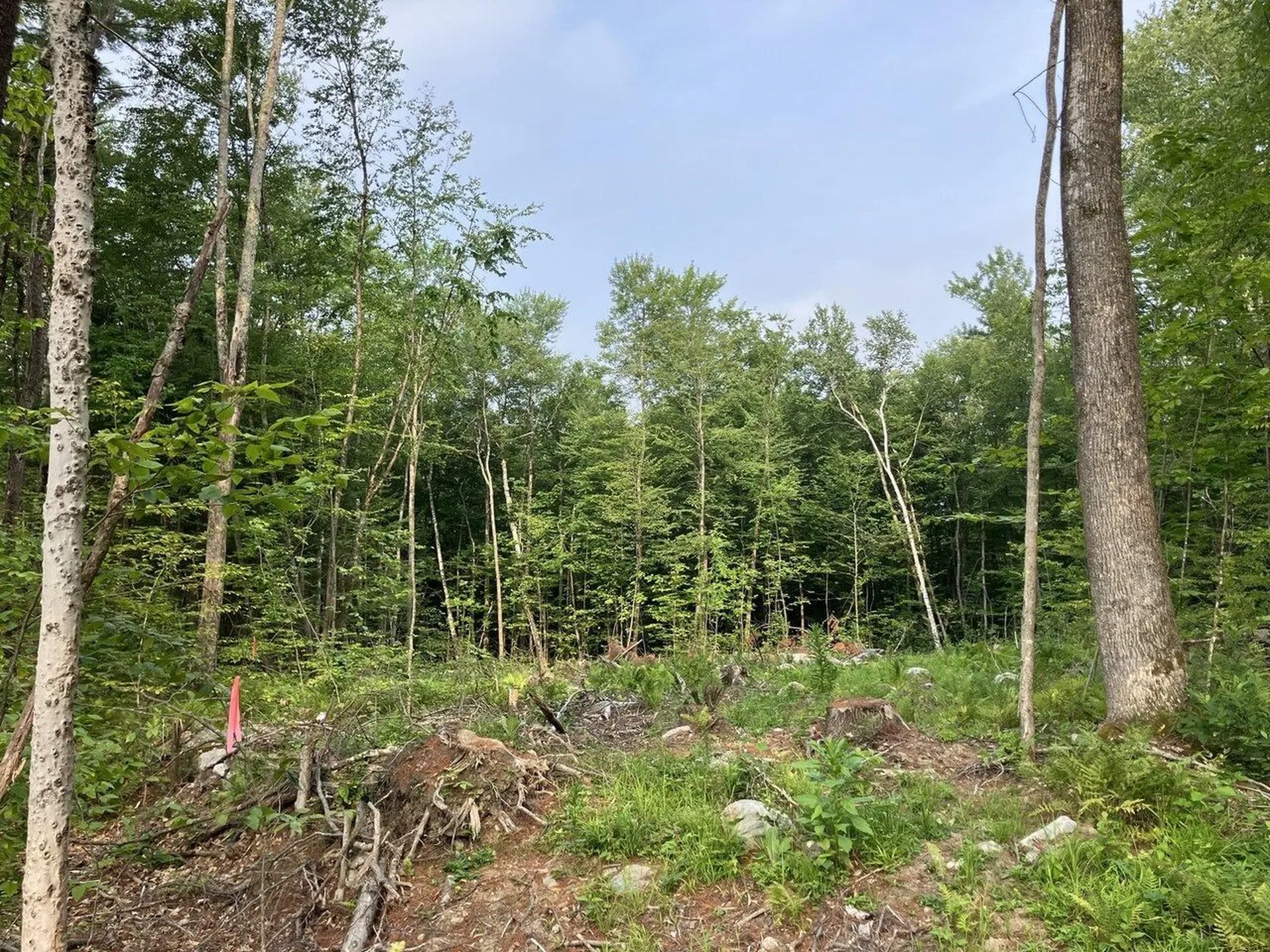 Lots 4-9 Fern Lake Road Leicester VT 05733