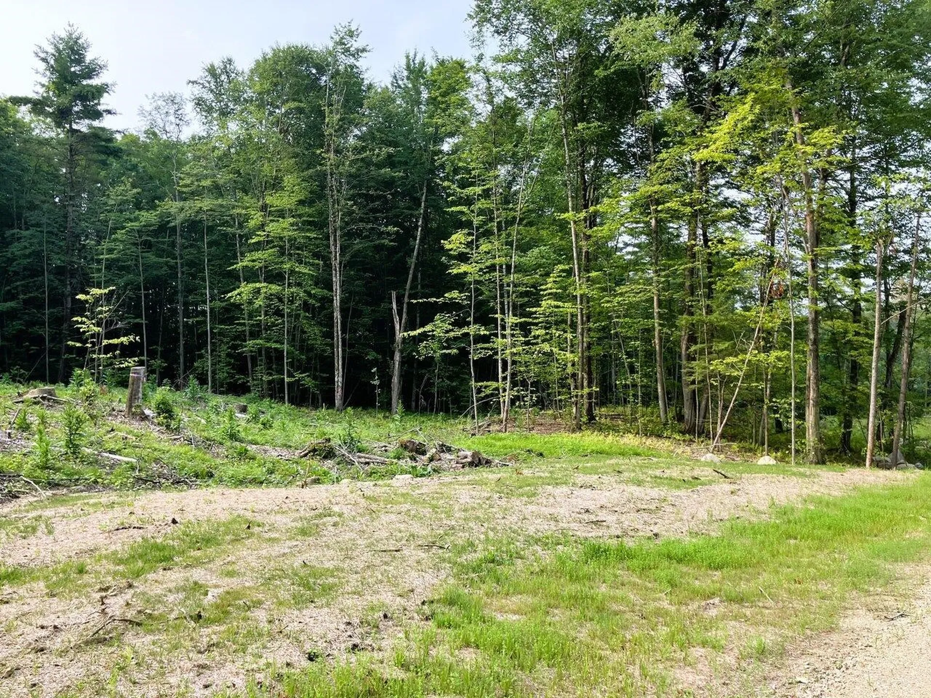 Lots 4-9 Fern Lake Road Leicester VT 05733