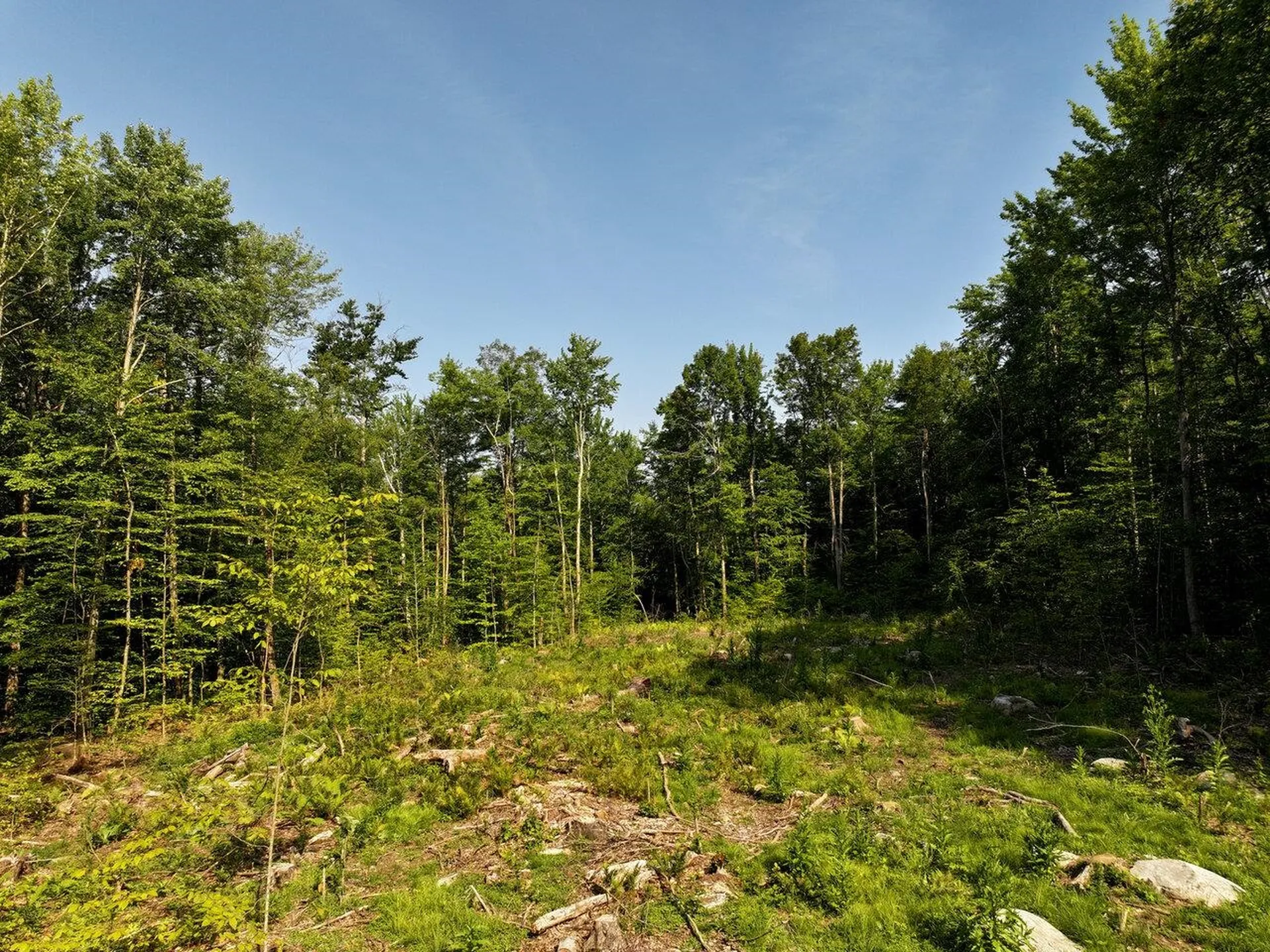 Lots 4-9 Fern Lake Road Leicester VT 05733