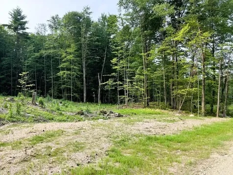 Lots 4-9 Fern Lake Road Leicester VT 05733