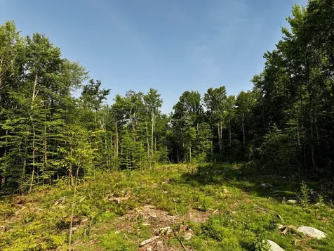 Lots 4-9 Fern Lake Road Leicester VT 05733