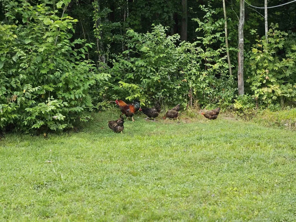 762 Potter Road Lowell VT 05847