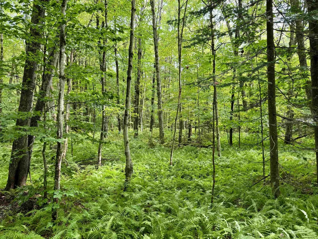 762 Potter Road Lowell VT 05847